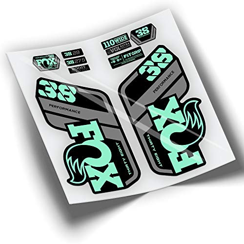 Adesivi Forcella Fox 38 Performance 2021 Bicolore WP438 Menta
