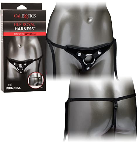 Her Royal Harness The Princess