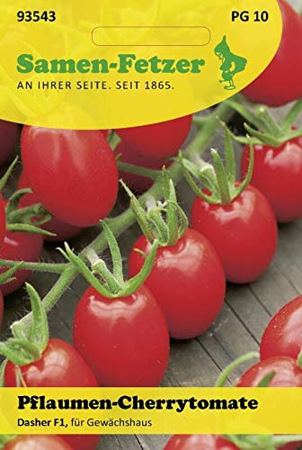 Tomaten Pflaumen-Cherrytomate Dasher F1 (Tomatensamen)