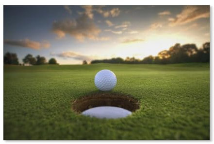Puzzle 1000 Teile Erwachsene,Golf auf Gras,Papier Puzzle(52x38cm)-F5