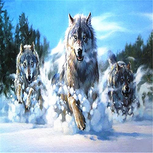 YINGXIN88 520 Teile Puzzle - Wölfe im Schnee - Puzzles für Erwachsene und Kinder 38x52cm