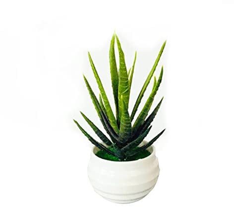 CUSROS Artificial Succulents Plants - Simulation Aloe Vera/Millets Grains/Small Bergamot Succulent Potted - White Plastic Pots Display Mold Bonsai for Home Decor Aloe Vera