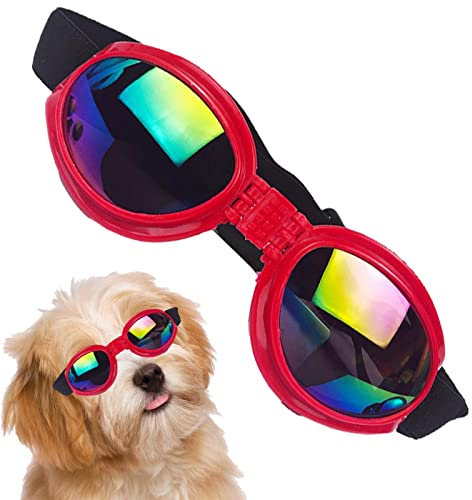Lunettes de soleil pour chien - Lunettes de moto pour chiot - Lunettes confortables pour petites races - Lunettes de protection UV - Coupe-vent - Anti-buée - Pour chien