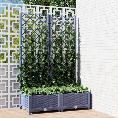 Iiaky Jardinera con Enrejado PP Gris Oscuro 80x40x121,5 cm Jardineras Exterior Grandes Separadores Jardin