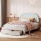 Polsterbett Kinderbett 140x200 cm, Mädchen Bett, Doppelbett für Mädchen mit 2 Schubladen, Bettgestell mit LED Höhenverstellbar Kopfteil und Lattenrost, Jugendbett 140x200 aus Massivholz und Samt