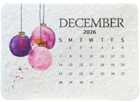 Pflanzbarer Samenkalender 2026, 12 Monate, umweltfreundlich, pflanzbar, Liebe, Samenpapier, Schreibtischkalender für Schlafsaal, Miete, Wohnung, Hotel, Schule, Klassenzimmer