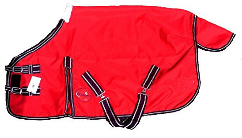 Cwell Equine Tapis de Pluie léger pour Poney ou Poulain (0,9 m, Rouge)