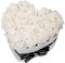 EG EMMIE GRAY Classic Infinity Rosenbox | Herz | Weiß – Traumhafte Infinity Rosen, 1-3 Jahre haltbare Rosen, Flowerbox mit echten, konservierten Rosen, edle Premiumrosen (M, Pure White)