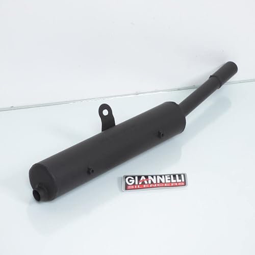 Giannelli Auspuffschalldämpfer für Motorrad Yamaha 50 Dt R Auto 1988 bis 1995