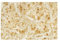 kaiserkraft | SizzlePak Papier-Füllmaterial | 1,25 kg | Füllvolumen 40 l | elfenbein