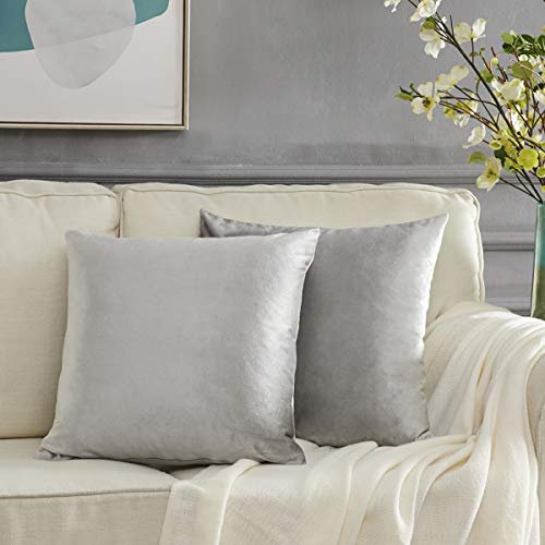 GIGIZAZA Kissenbezug 45x45 cm Grau Kissenhülle Samt Kissenbezüge Zierkissenbezug Dekokissen für Sofa Schlafzimmer Wohnzimmer 2er Set