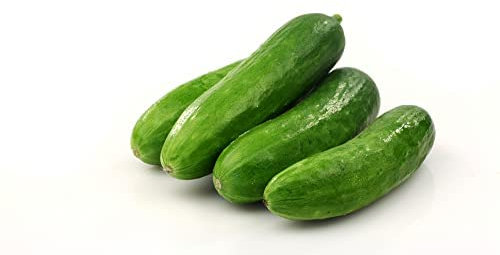 Cucumber Plants, 'Petita', 3 x Full Plants in 9cm Pots, Vegetable Plants, Mini Cucumbers, Garden Veg, Garden Ready Mini Cucumbers, Ready to Plant, Premium Quality Vegetables