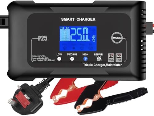 12V 24V Smart Car Battery Charger, 25 Amp LiFePO4, Lithium, Lead-Acid(AGM/GEL/EFB/SLA) Fully-Automatic Battery Charger, Portable Battery Maintainer Trickle Charger For Car, Motorcycle, Boat, etc