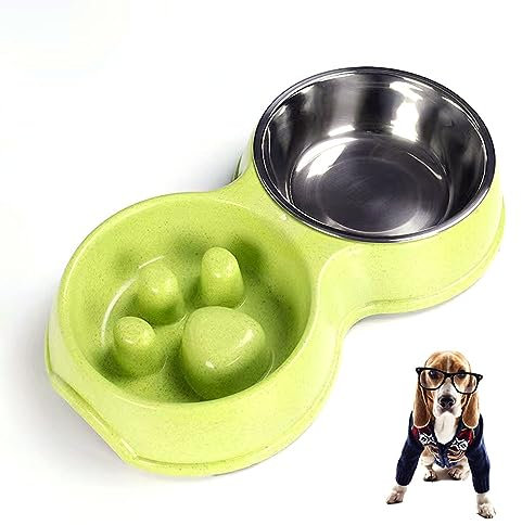 Arightmu 2-in-1 Stainless Steel Pet Bowls | Non-Slip Tilted Cat Dog Bowl with Anti-Skid Design | Double Bowl for Kittens, Puppies, Rabbits & Small Animals (Green-Slow Feeding, Large)
