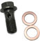 Bestvisse Lot de 10 boulons banjo et rondelles pour moto, tuyaux de frein, boulons banjo, boulons d'étrier de frein de moto, boulons banjo, vis durables