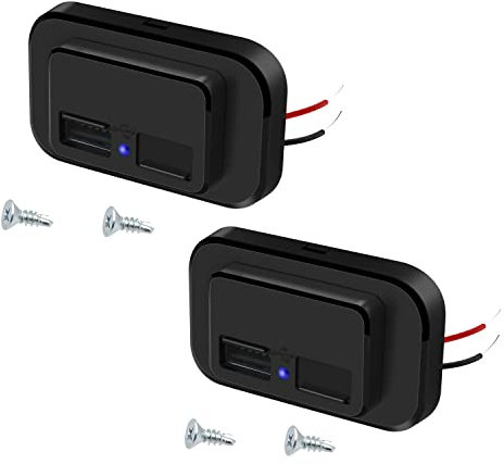 Giantdeer 4.8A USB Steckdose 12V, Blau LED, Dual USB Port ladegerät Buchse mit Wasserdichter Federabdeckung, Einbaubuchse 12V Panel Geeignet für 12V/24V Auto Wohnmobil ATV Schiffs LKW(2 pcs)