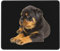 Mousepad, Schöner Rottweiler Desk Pad rutschfest Gaming Mousepad Verschleißfest Komputer-Mousepad Für Laptops Pc 25X30Cm