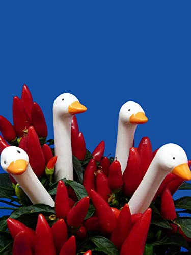 Pommerntraum ® 4 STÜCK Keramikgans Keramikgänse Gänsehals Gänseköpfe Gans Gänse Dekorationsfiguren (Baby-Gans)