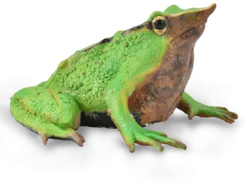 CollectA Darwin's Frosch
