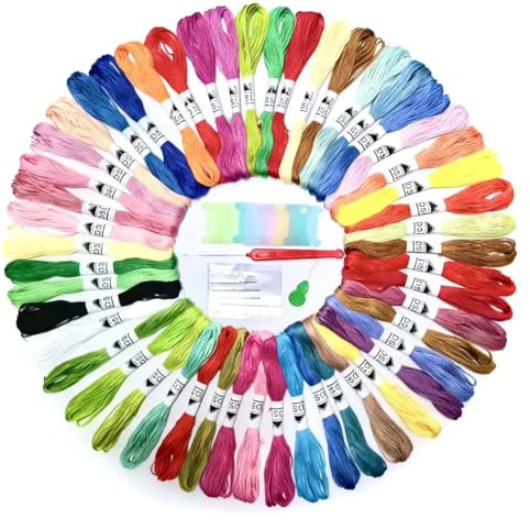 DSL 50 Skeins Embroidery Floss, 8m 6-Strand Cross Stitch Threads | Includes Needles, Bobbins and Threader for Embroidery and Crafts | Ideal for Cross Stitch, Friendship Bracelets and Sewing