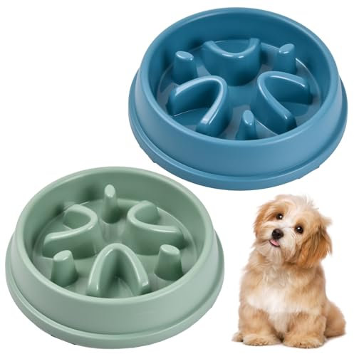 2 Pièces Gamelle Anti-Glouton pour Chien, Antiglouton pour Chiens, Alimentation Lente pour Animaux de Compagnie de Petite et Moyenne Taille, Gamelle Interactive pour Distributeur Lent et Chat