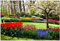 Wallario Outdoor-Poster für Garten oder Balkon Bunte Blumen und Kirsch-Baum im Park blühen im Frühling, Motivbanner Größe: ca. 60 x 90 cm, Outdoor-Bild