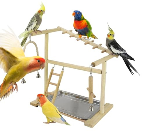 Riaisttd Parque para Aves | Escaleras Columpios Juguetes De Escalada | con Bandeja Y Taza Extraíbles De Acero Inoxidable para Periquitos - para Masticar Forrajeo Entrenamiento para Periquitos