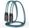 Wekuant XLR Cable, 6.5FT 2 Pack Audiophile Microphone Cables, Balanced Microphone Cord 3 Pin, Mic Cable Gold Contacts