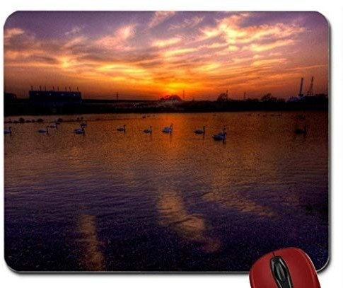 Schwäne auf einem Fluss an Dämmerung HDR Mousepad