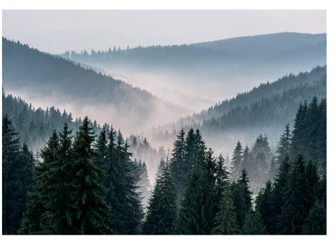 WallArena - Vlies Fototapete Berge Wald im Nebel Landschaft Natur Bäume 208x146 cm - Fototapeten - Tapeten - für Wohnzimmer Schlafzimmer - Vliestapete Wandtapete Tapete 3D Effekt- inkl. Kleister