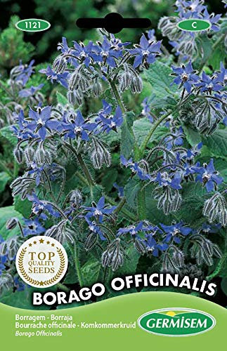 Germisem Borretsch BORAGO OFFICINALIS, mehrfarbig, EC1121