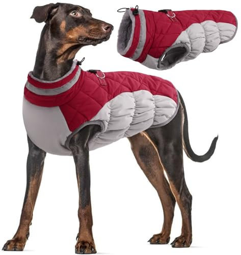 Hundemantel Winter, Wasserdicht Hundejacken Große Hunde Weste Warm Winddicht Hundejacke Fleece Winter Hundebekleidung Reflektierend Winterjacken mit Leine Loch(Rot, 3XL)