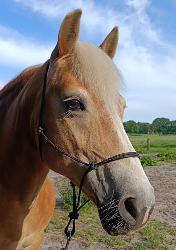 Knotenhalfter - Made in Germany (Schwarz, COB)