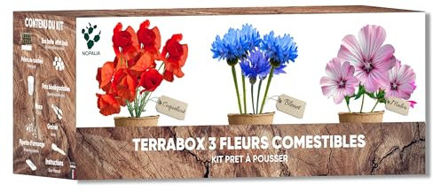 Kit de flores comestibles - Semillas orgánicas amapola, púrpura, aciano - Mini jardín interior y exterior - Regalo de cocina y jardinería original - DIY Deco Ecológico - Made in France