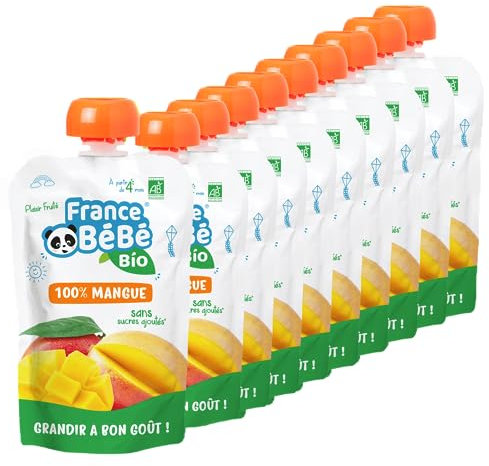 FRANCE BéBé BIO - Compote de fruits BIO en gourde dès 4 mois - Mangue - Pack de 10 x 100g