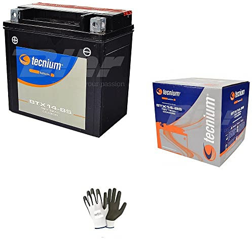 Compatible avec Yamaha 900 XJ S Diversion 1998 Batterie déjà prête à l'emploi Technium YTX14-BS 12 V 12 Ah Batteries 12 ampères spécifiques pour moto scooter 150 x 87 x 145