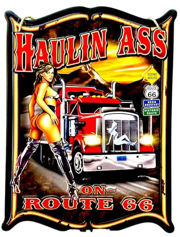 DiiliHiiri Cartel Camionero Trucker – Placa de Metal de Garage Vintage (40x30cm) - Letrero Metálico Retro Estilo Antiguo - Regalo para un Camioneros - Chapas Vintage - Taller - Garaje (9558)
