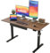 Agilestic Elektrischer Stehschreibtisch mit Schublade, höhenverstellbarer Schreibtisch, Ergonomischer Stehschreibtisch 120 * 60 aus Holz, mit Memory-Voreinstellungen für Arbeit Heimbüro, Braun