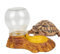 Cuenco de Agua para Reptiles, Fuente de Agua para Reptiles, Fuente de Agua de dragón Barbudo, Plato Desmontable para Beber Lagarto