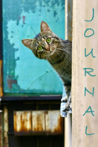 Cat Journal