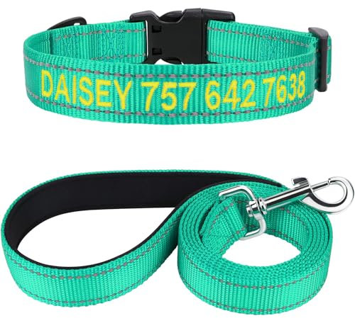 TagME Hundehalsband und Leine, Personalisierbar Reflektierendes Hundehalsband Mit 1.5M Doppelseitige Reflektierende Hundeleine für Mittelgroße, Türkis