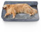 G TALECO GEAR Hundebett Grosse Hunde,100 * 60CM Graues Orthopädisches Hundebett,rutschfeste Hundebett Waschbar,Luxus-Komfort-Hundebetten,Geeignet Für Große Hunde