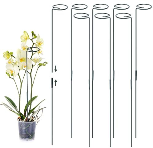 Foshird 8 Stück Pflanzenhalter 60cm Pflanzenstütze Metall Staudenhalter Rund Rankhilfe Garten Blumenhalter Blumenstütze Pflanzring für Rosen Tomaten Lilien Pfingstrosen Topfpflanzen
