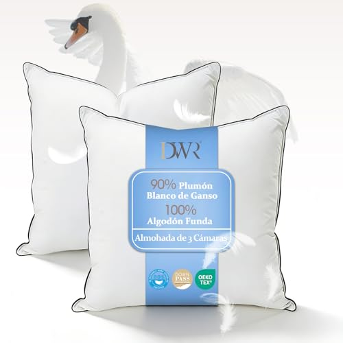 DWR Daunenkissen 80x80 cm (2 Stück) | 3-Kammer Kopfkissen | 90% weiße Gänsedaune Außen | Feder-Mischung Innen | 100% Bio-Baumwollbezug | Mittlere Unterstützung Schlafkissen | RDS und Oeko-TEX