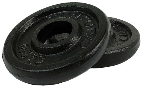 Tunturi Gewichte für Hanteln 2 x 0,5 kg, Hantelgewichte für 30 mm, Gusseisen