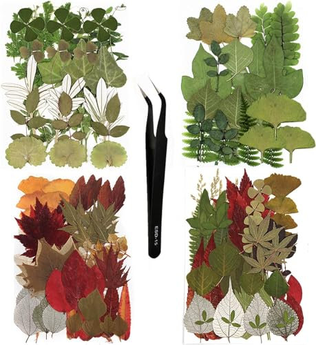 Huimai 129 Stück Getrocknete Blätter Trockenblumen Grün Natürlich Gepresste Blätter für DIY Kerzen, Harz Schmuck , Seife, Fotorahmen, Anhänger