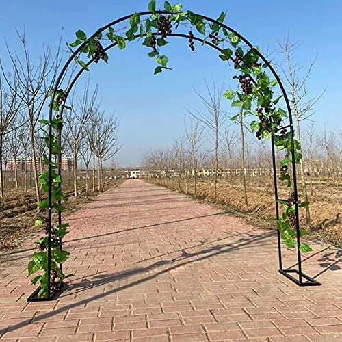 GLFNB Gartenbogen Metall-Gartenbogen, wetterfester Rosenbogen, Lauben, Bogen für Kletterpflanzen, Pergola für drinnen/draußen, Hochzeitsbogen mit Sockel (Farbe: Schwarz, Größe: 350 x 220 cm)