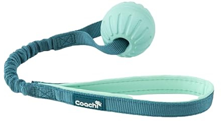 Coachi Puppy & Mini Tuggi Ball - Lightweight, Tough Dog Toy, Stretchy Bungee Handle, Reward Training, Agility, Recall, Interrupt Biting & Chewing, Suitable for Small Dogs & Puppies