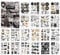 177 Stück Scrapbook Stickers Scrapbook Zubehör Scrapbooking Sticker Vintage Sticker Fotoalbum Blumen Pilze Verschiedene Muster Sticker für Journaling Zubehör Sticker Bullet Journal Sticker Aesthetic