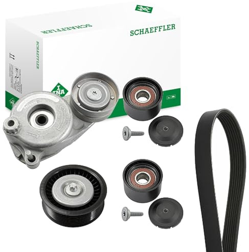 INA 529 0168 10 V-Ribbed Belt Set